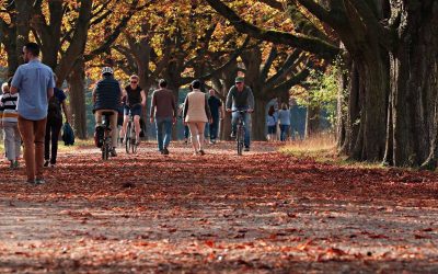 Möjligheter till motion