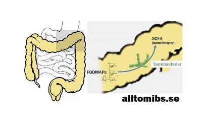 Ny studie belyser riskerna med FODMAP