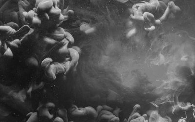 Tarmflora: det nya svarta?