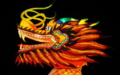 Nytt år & nya möjligheter