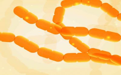 SIBO – en bidragande orsak till magbesvär?