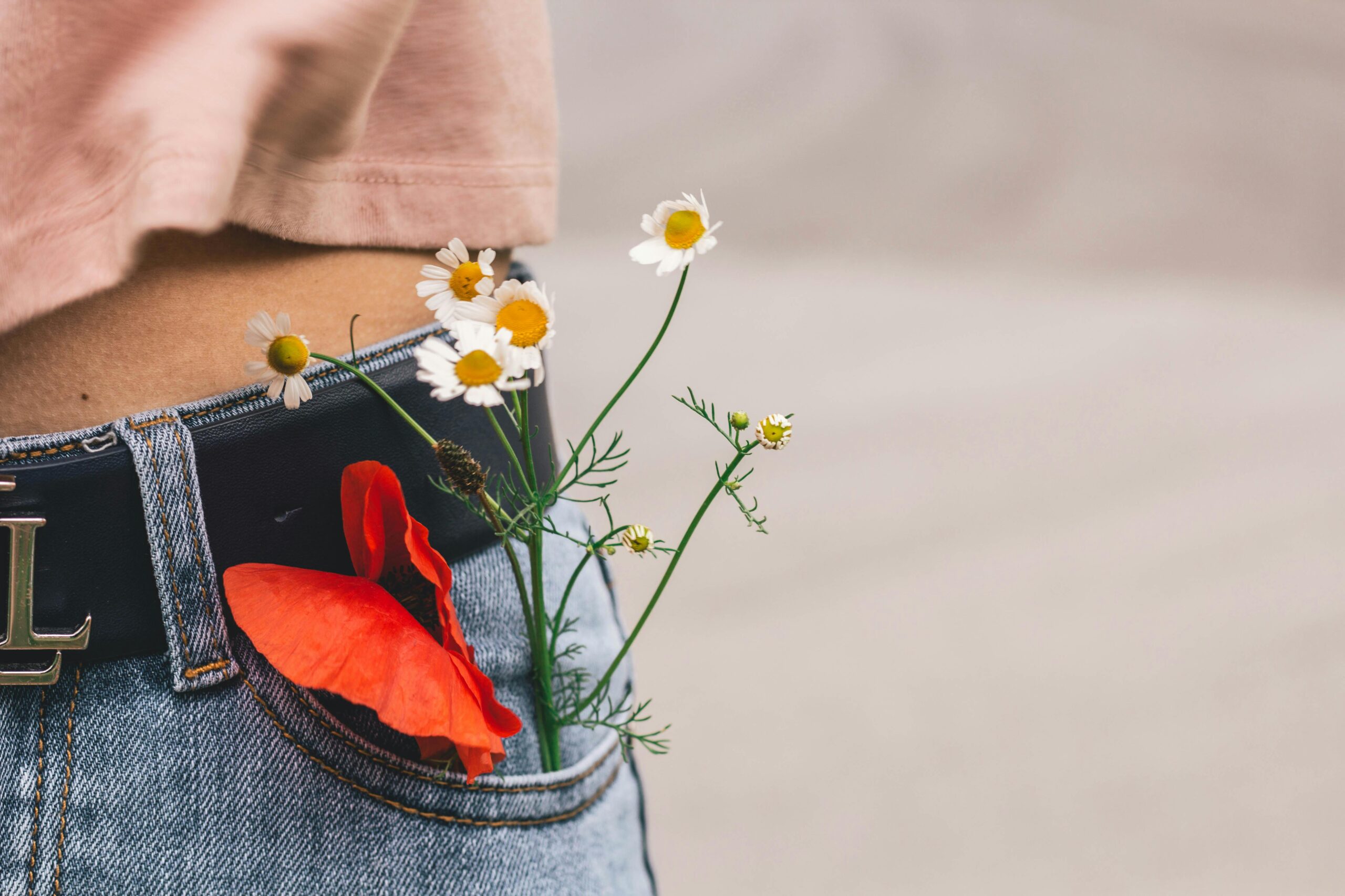 Valmo och kamomillblommor sticker ut ur en ficka på blå jeans